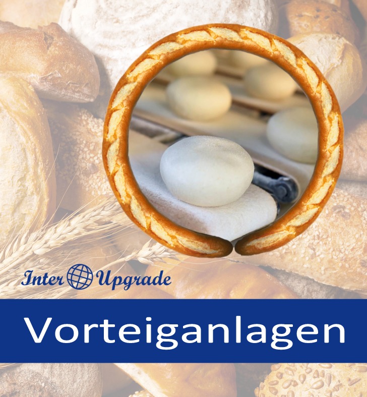 Vorteiganlagen